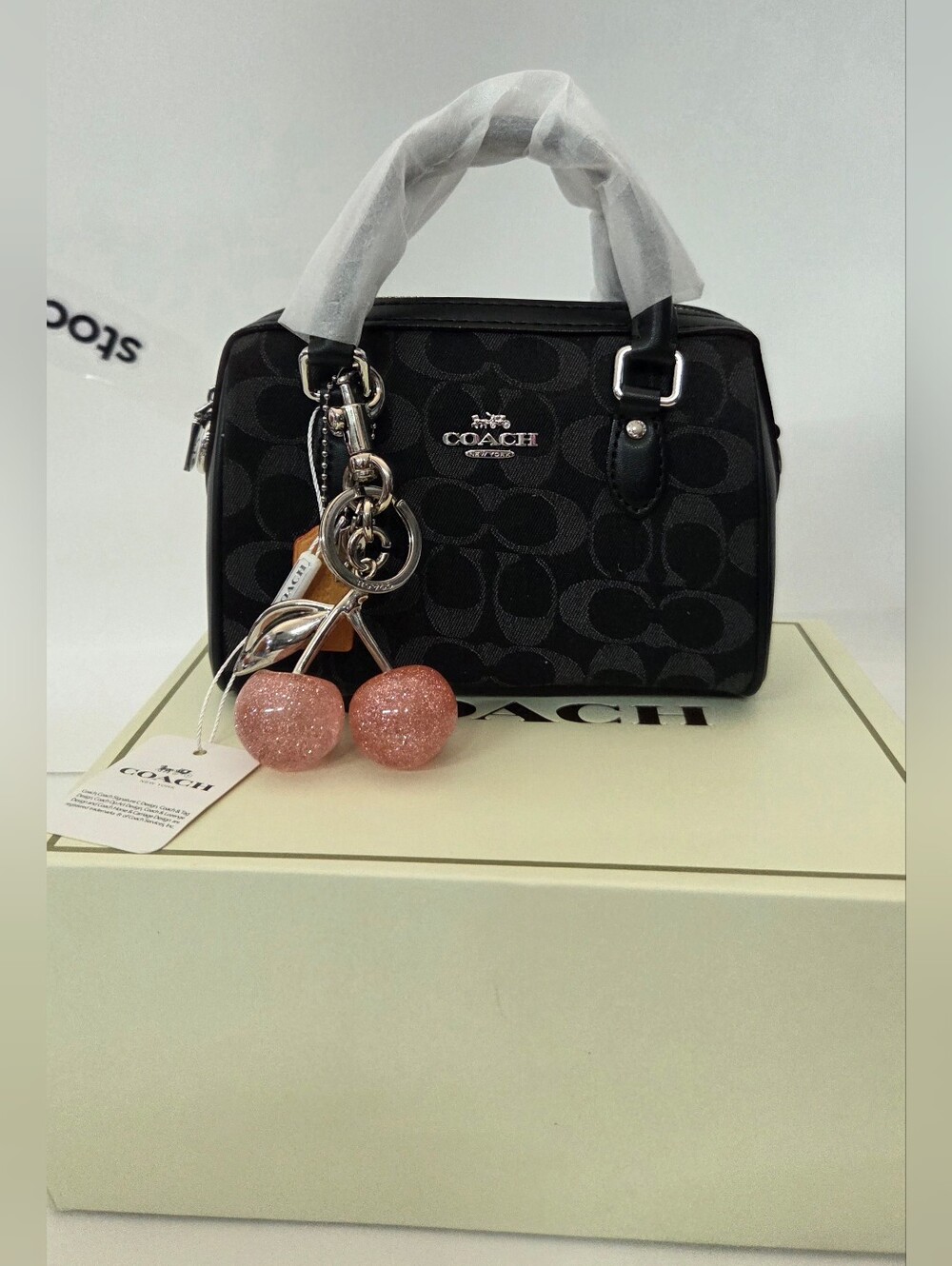 Coach Mini Crossbody Hand Bag NEW!!